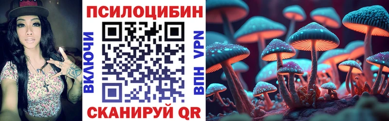 shop телеграм  Донецк  Псилоцибиновые грибы Psilocybe 
